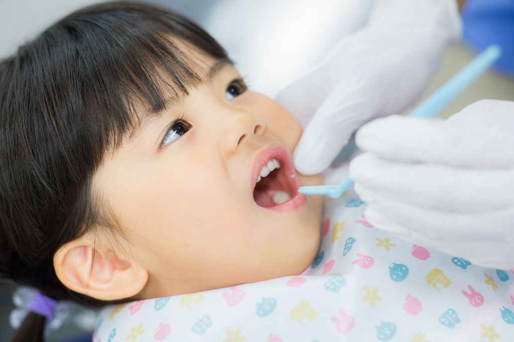 定期検診や歯のクリーニング